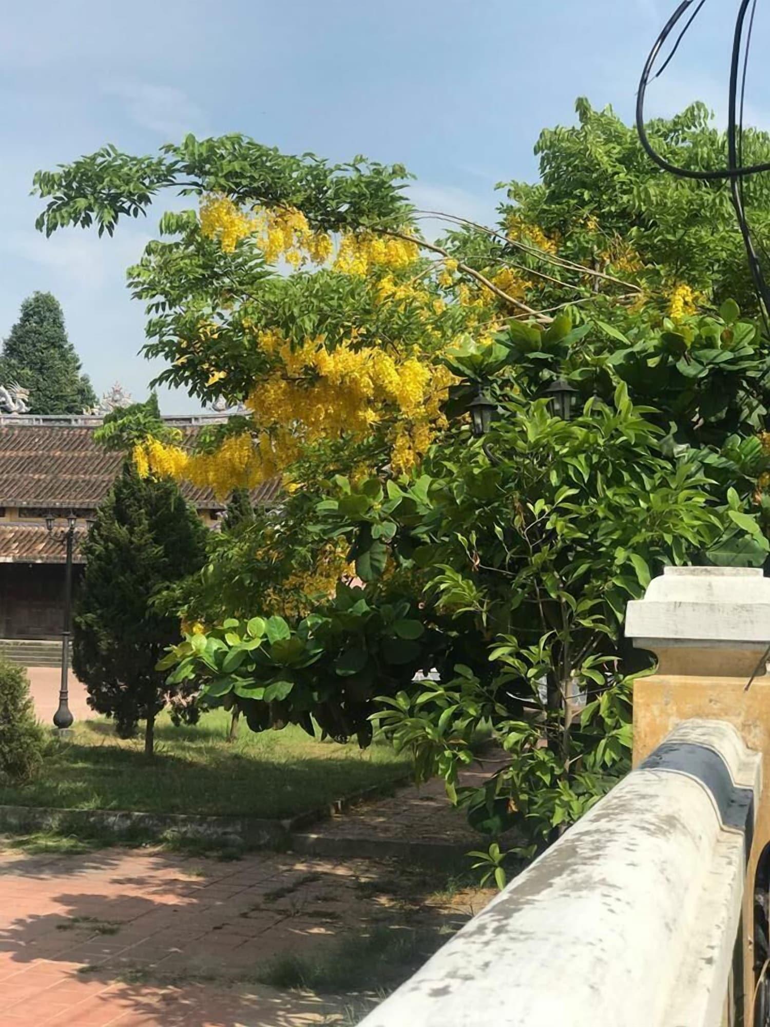Champa Hoi An Villas Bagian luar foto